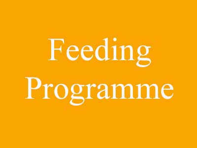 Feeding Programme