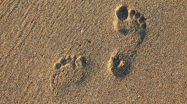 Footprints in the sand